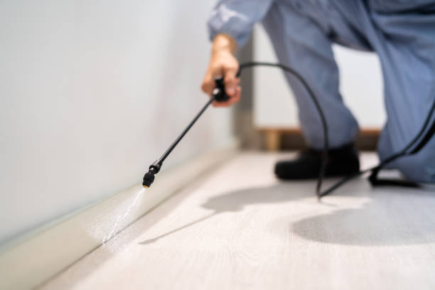 Licensed Fumigation Services service in Edwards County County, KS - Nex Pest Control